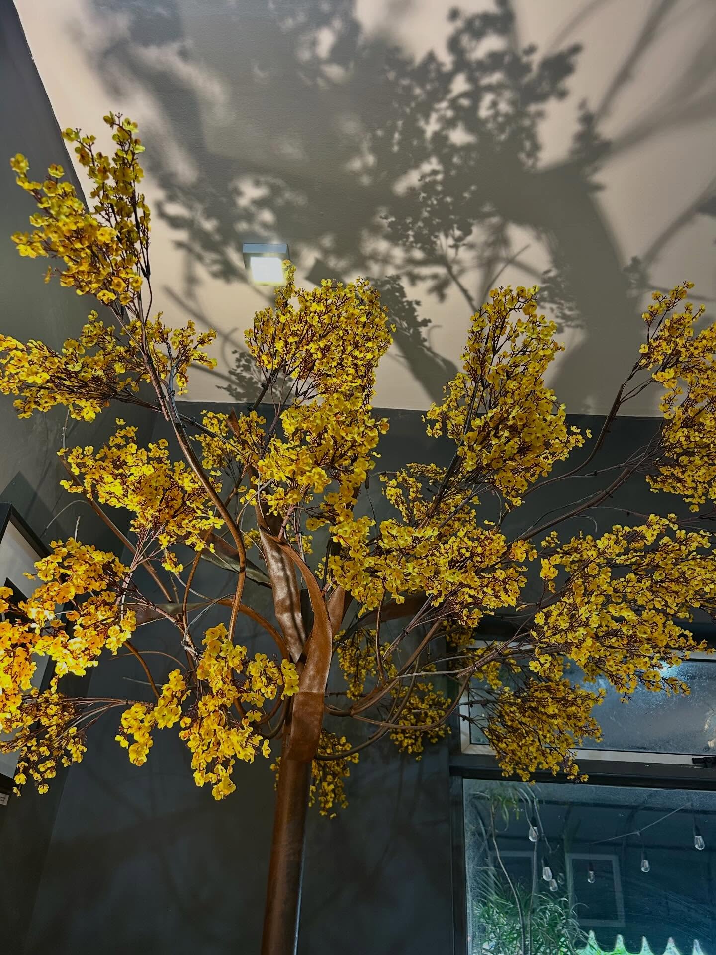 Golden decorative blossoms casting tree shadows across a venue ceiling